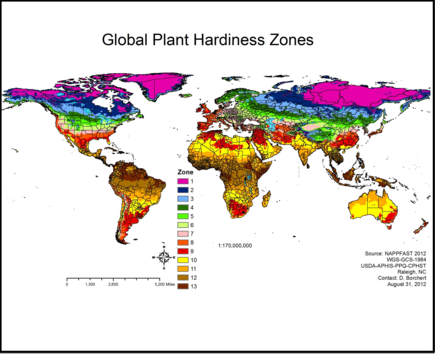 Image shows map of global plant hardiness zone for the lemon lime prayer plant.